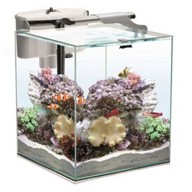 Aquael FishyShrimp Set Duo DyN 35 acuario