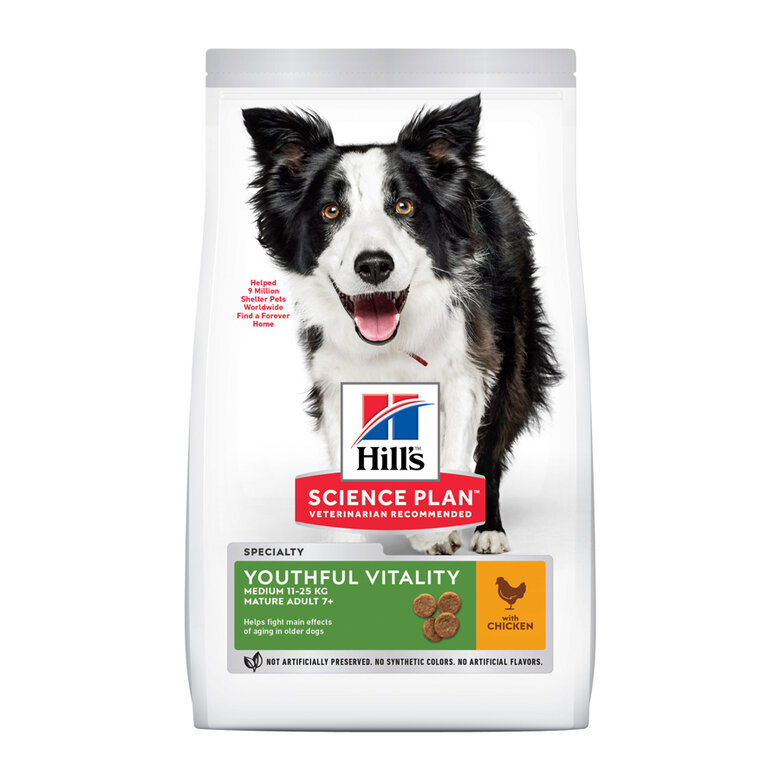 compresión Competidores aceptable Hill's Science Plan Youthful Vitality Medium Adult Pollo pienso para perros  | Tiendanimal
