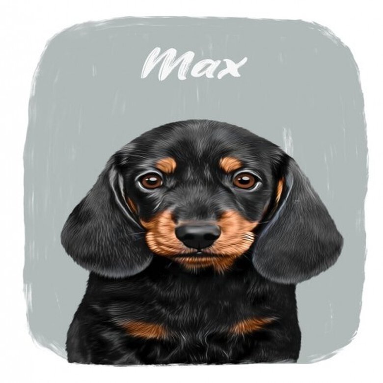 Mascochula max retrato realista personalizado en lámina con tu mascota gris, , large image number null