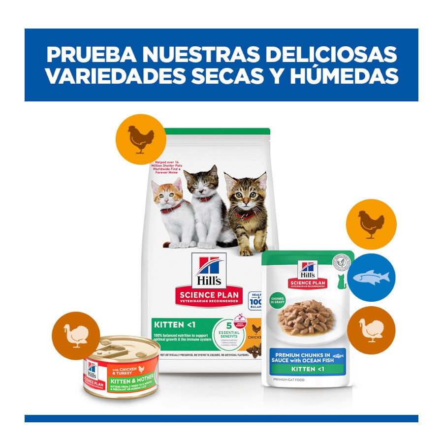 85 g Hill's Science Plan Kitten Pescado Azul sobre para gatos, , large Imagen numero 11