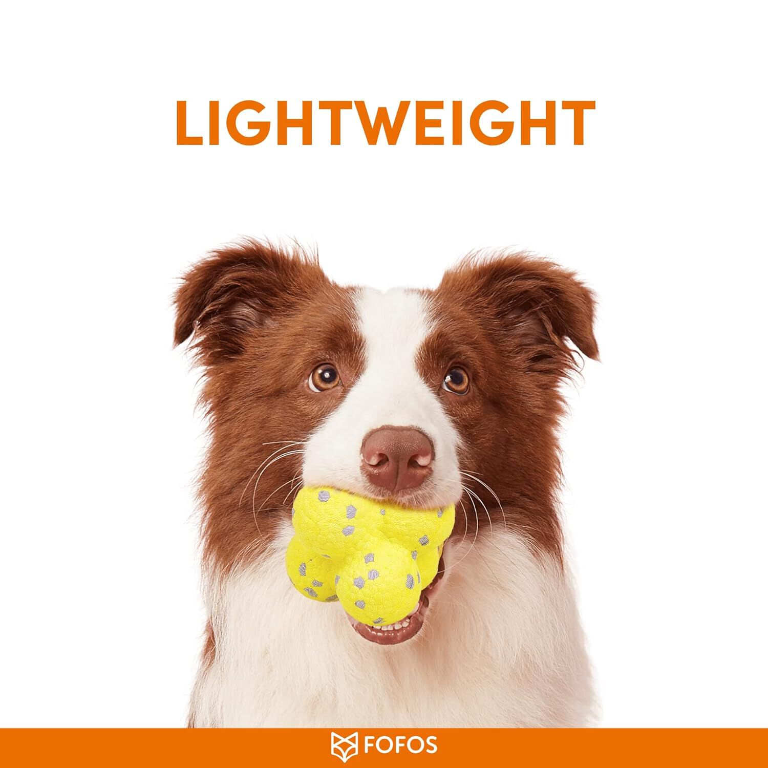 FOFOS | Bola Ultra-Resistente  - Para Perro, , large Imagen numero 2
