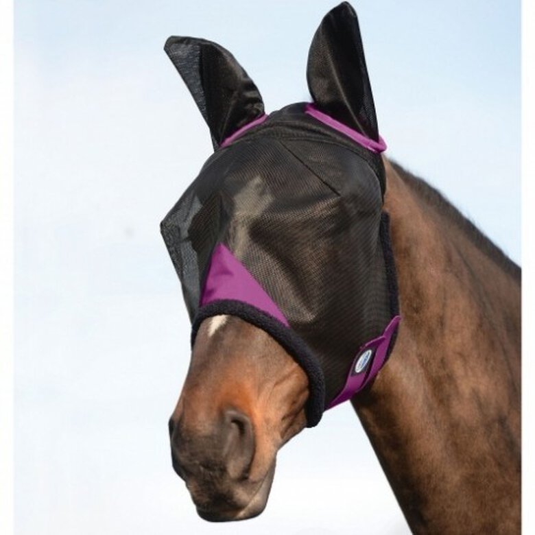 Máscara con redecilla Comfitec con orejeras para caballo color Negro/Púrpura, , large image number null