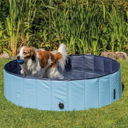 Piscina para perros color Blue thumbnail