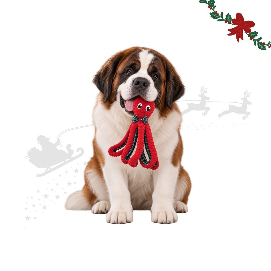 Wonder Christmas Pulpo XL Peluche para perros, , large Imagen numero 1