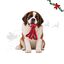 Wonder Christmas Pulpo XL Peluche para perros, , large indicador imagen numero 1