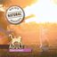 True Origins Pure Adult Sterilised Grain Free Pavo pienso para gatos, , large indicador imagen numero 3