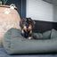 Cama Para Perros, , large indicador imagen numero 2
