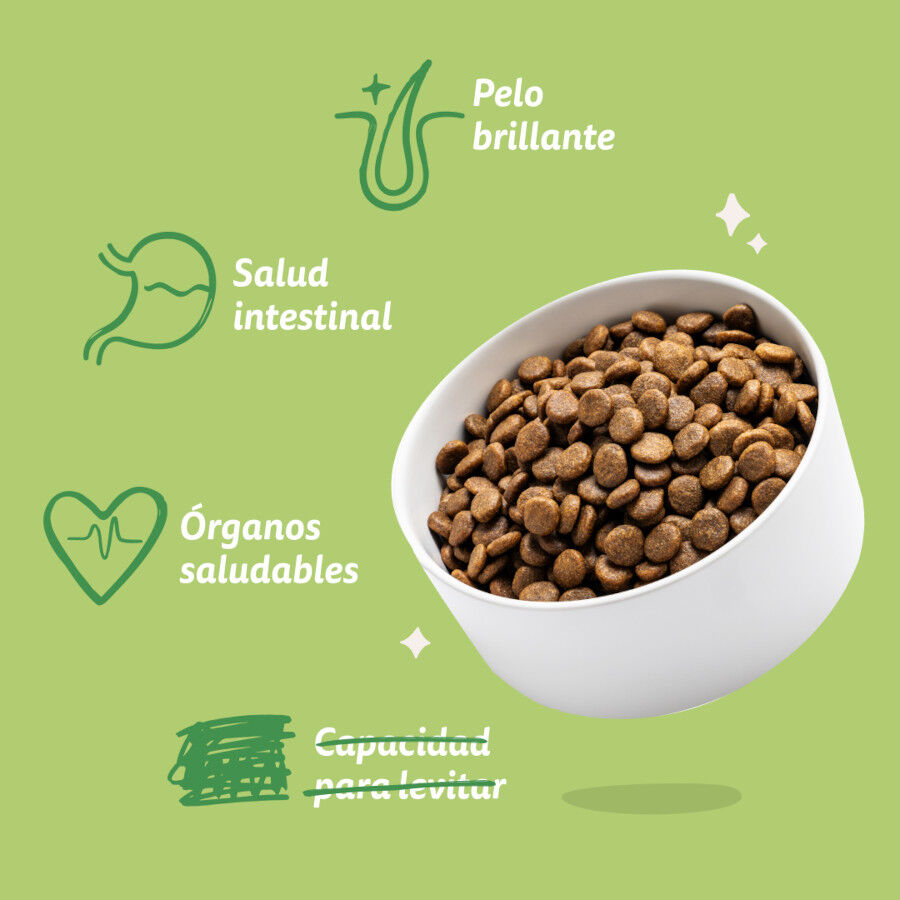 12 kg Edgard & Cooper Adult Cordero pienso para perros, , large Imagen numero 6