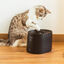 Cecotec Pumba 2500 Refresh Smart Fuente Bebedero Automático para gatos, , large indicador imagen numero 8