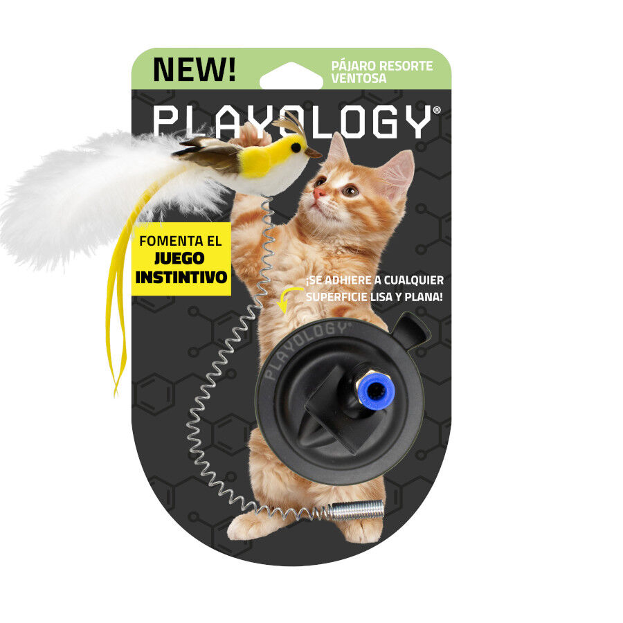 Playology Juguete Interactivo Se&ntilde;uelo P&aacute;jaro para gatos, , large Imagen numero 2