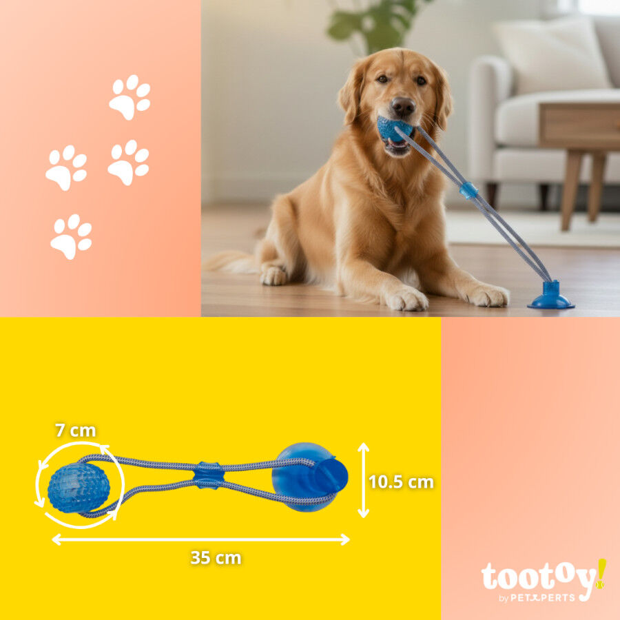 Tootoy! Mordedor de Cuerda con Pelota y Ventosa Azul para perros, , large Imagen numero 5