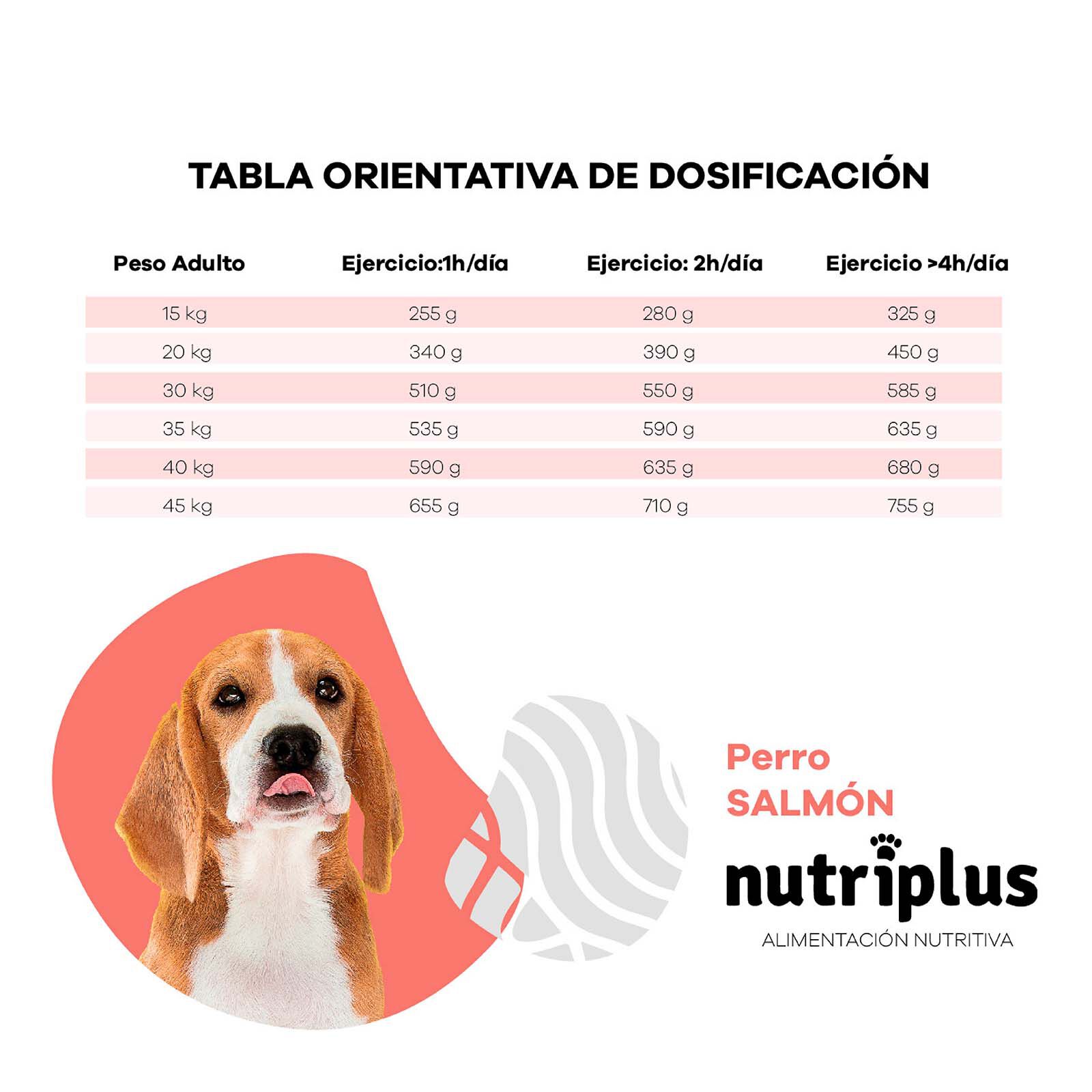 Pienso para perros adultos sabor Salm&oacute;n, , large Imagen numero 4