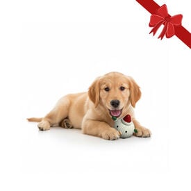 Wonder Christmas Pelota Navideña para perros