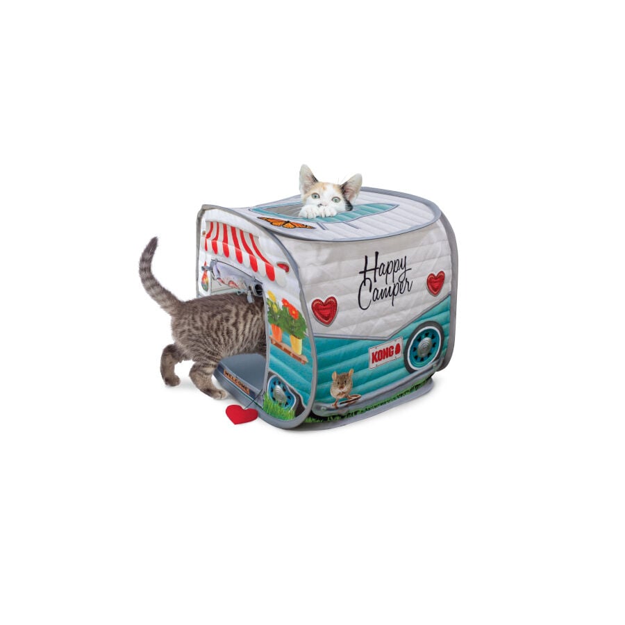 Kong best sale para gato