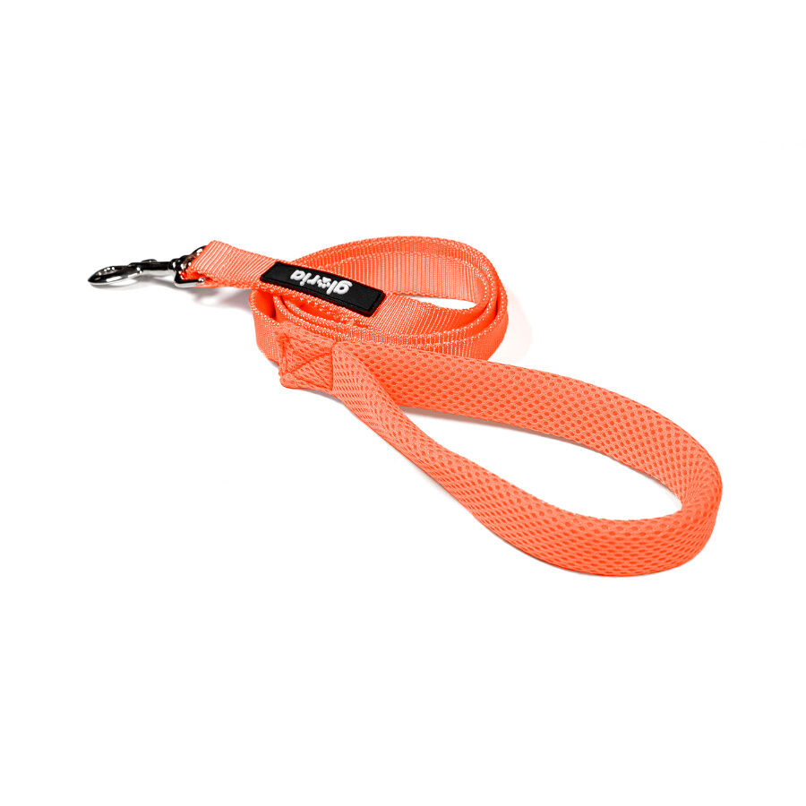 Gloria Air Mesh Trek Star Correa Naranja para perros, , large Imagen numero 2