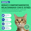 Virbac Zenifel Gel Difusor para gatos, , large indicador imagen numero 2