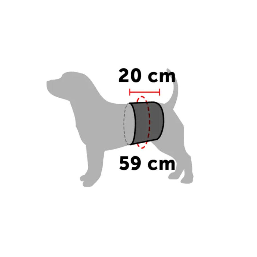 Flamingo Pa&ntilde;al Lavable para perros machos, , large Imagen numero 4