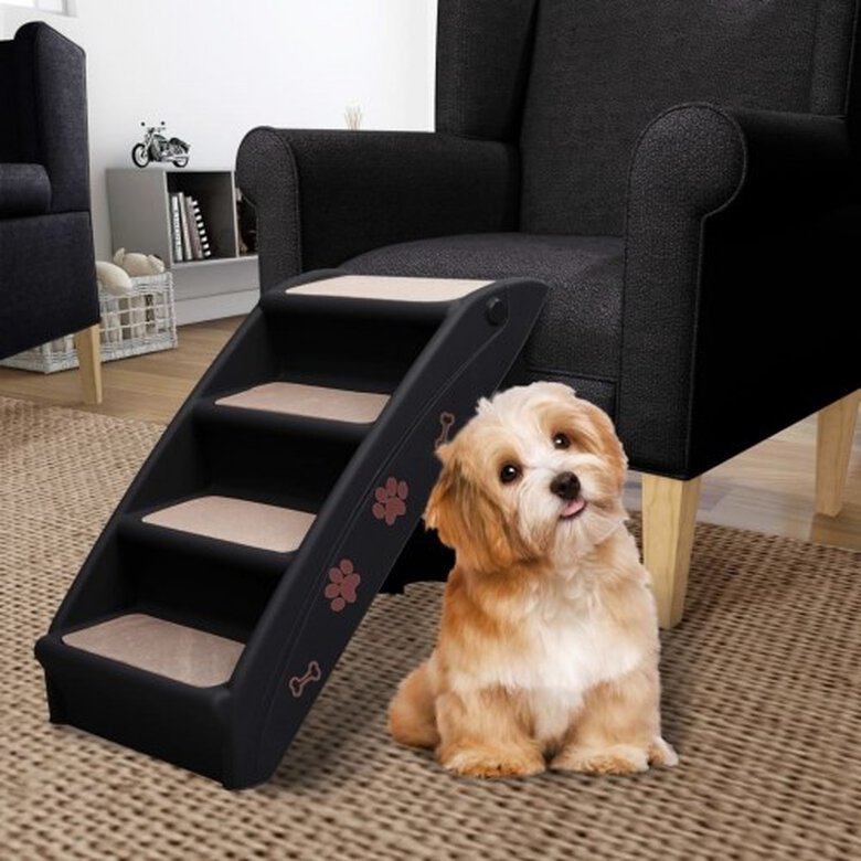 Escalera de acceso al sofá para perros color Negro, , large image number null