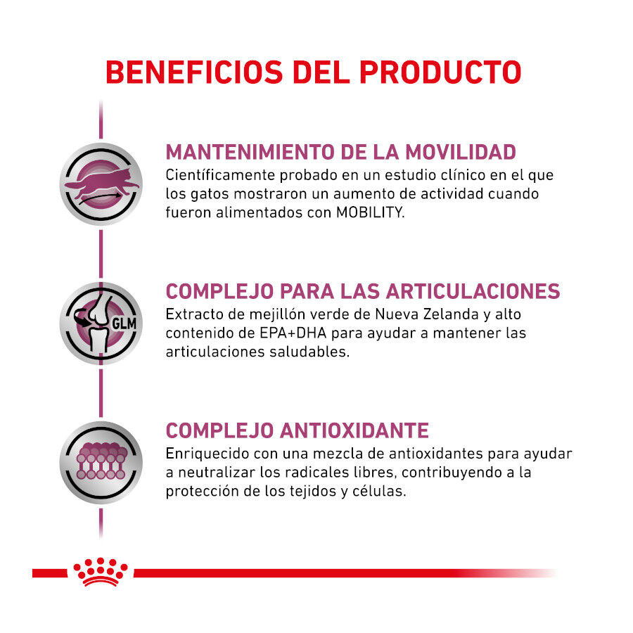 Royal Canin Veterinary Mobility pienso para gatos thumbnail