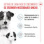 8 kg Royal Canin Starter MotheryBaby Mini pienso para perros, , large indicador imagen numero 3