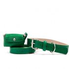 Loyal set collar rocco verde para perros, , large image number null