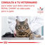 12 sobres x 85 g Royal Canin Mature Consult Láminas en Salsa Sobre para gatos, , large indicador imagen numero 6