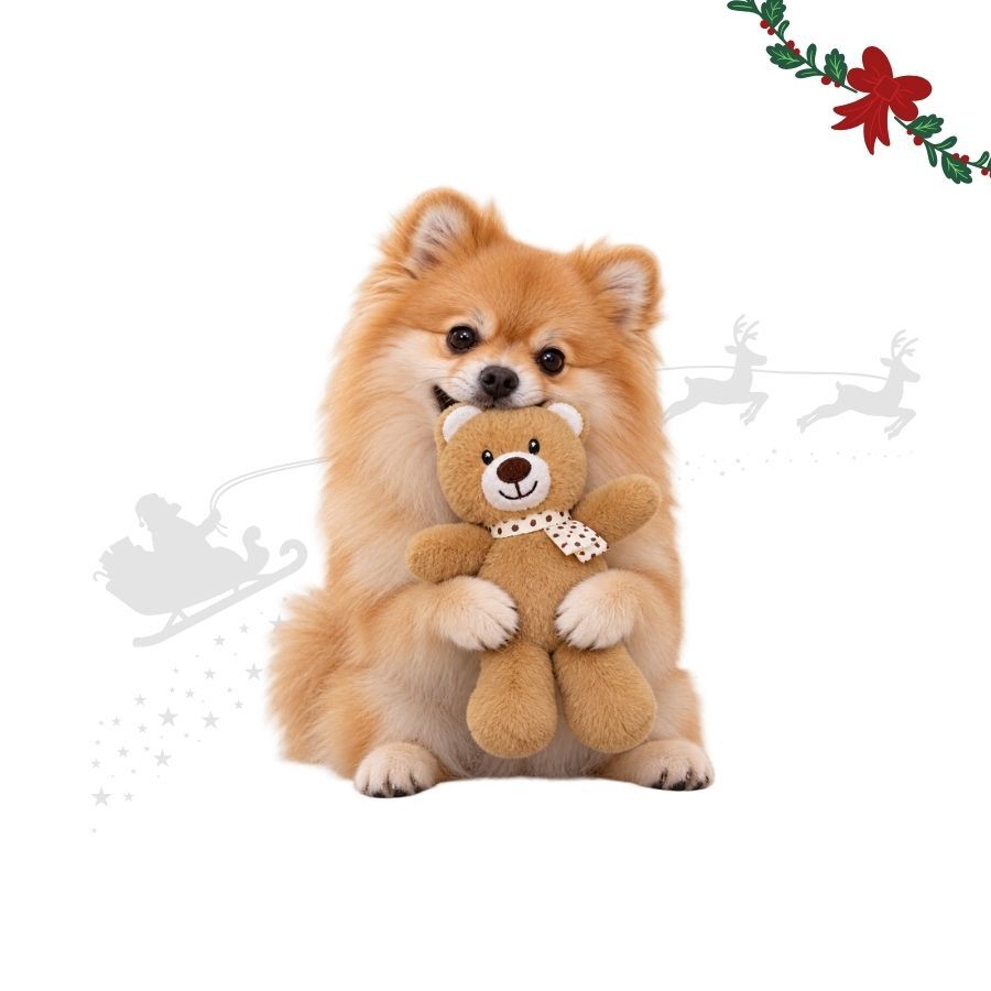 Wonder Christmas Oso Caramelo Peluche para perros, , large Imagen numero 1