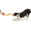 Juguete en forma de S para perros color Naranja, , large indicador imagen numero 4