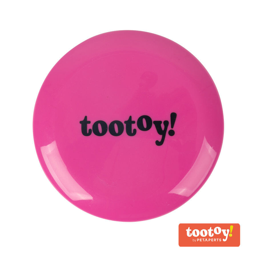 Tootoy! Flying disc Pink Frisbee Rosa para perros