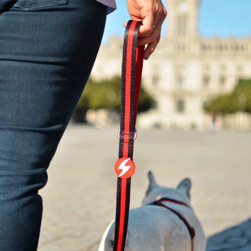 Dashi stripes correa de poli&eacute;ster rojo y negro para perros, , large Imagen numero 2