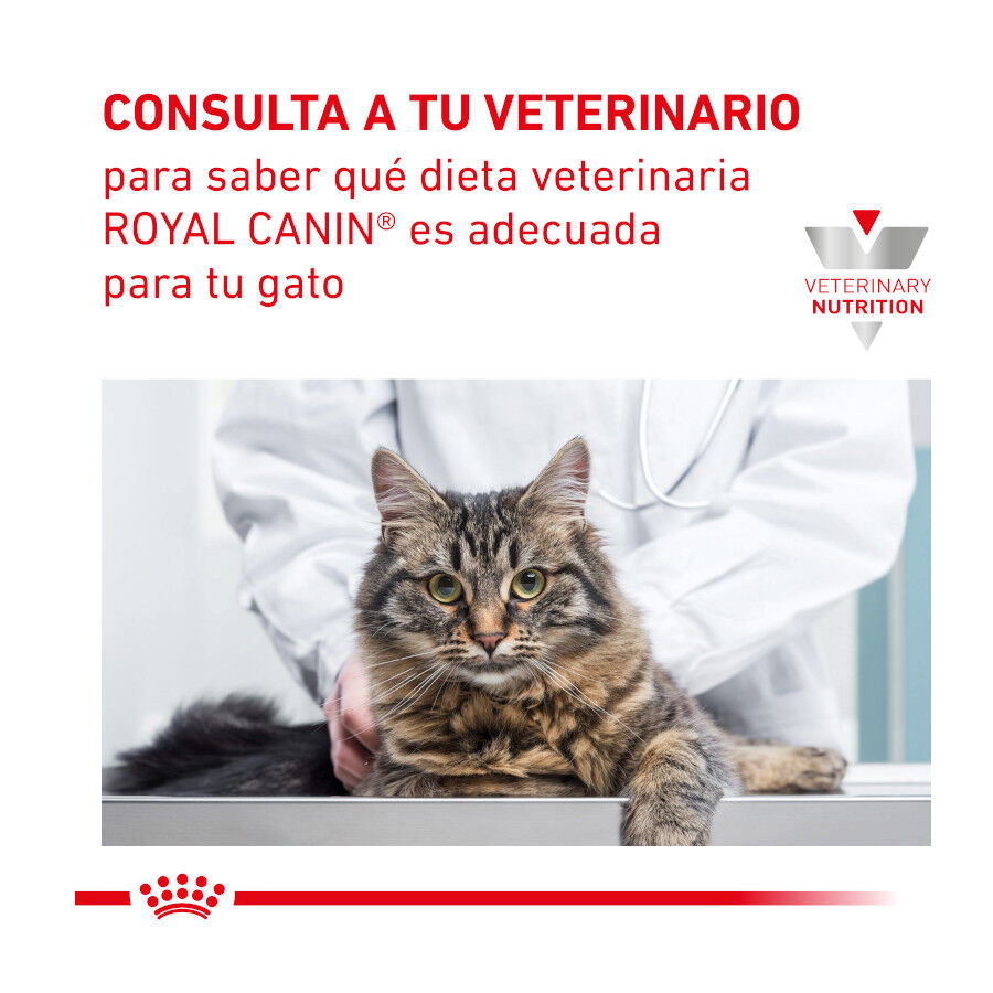 Royal Canin Veterinary Gastrointestinal Hairball pienso para gatos thumbnail