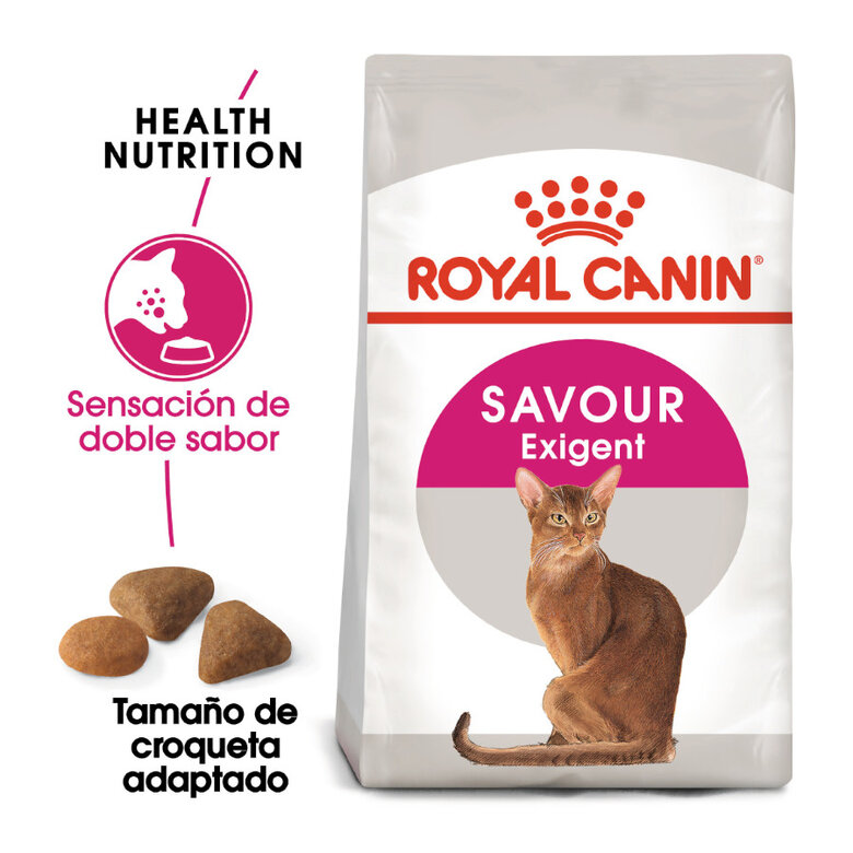 nombre gloria historia Royal Canin Adult Exigent Savour pienso para gatos