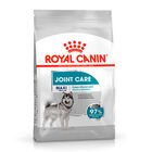 Royal Canin Joint Care Maxi pienso para perros, , large image number null