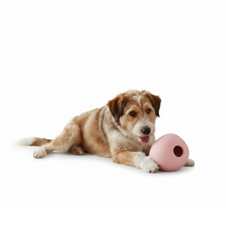 BECO Pelota Portagolosinas de Goma Rosa para perros, , large Imagen numero 6