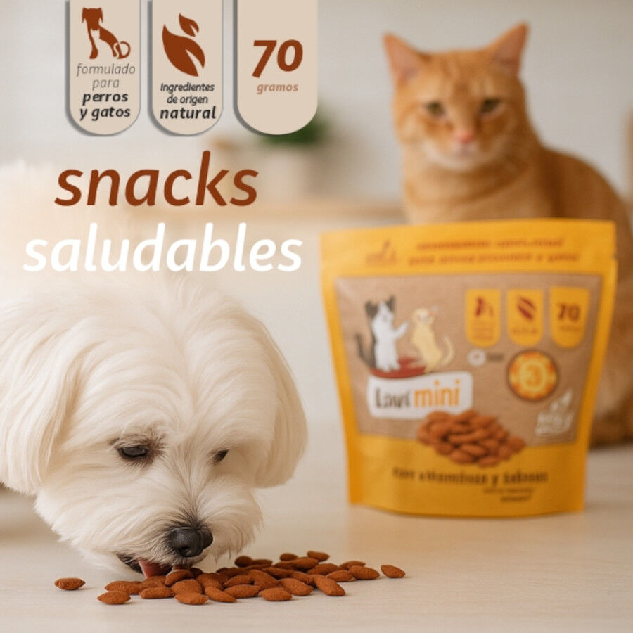 KOWI MINI, SNACK 70 gr, , large Imagen numero 2