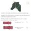 Baona collar guanabara martingale de nylon reciclado verde para perros, , large indicador imagen numero 4