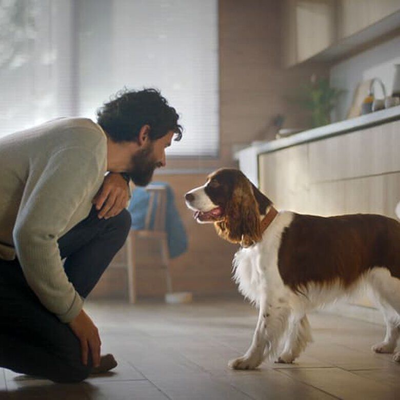 70 g Adventuros Palitos Mini Jabal&iacute; para perros, , large Imagen numero 5