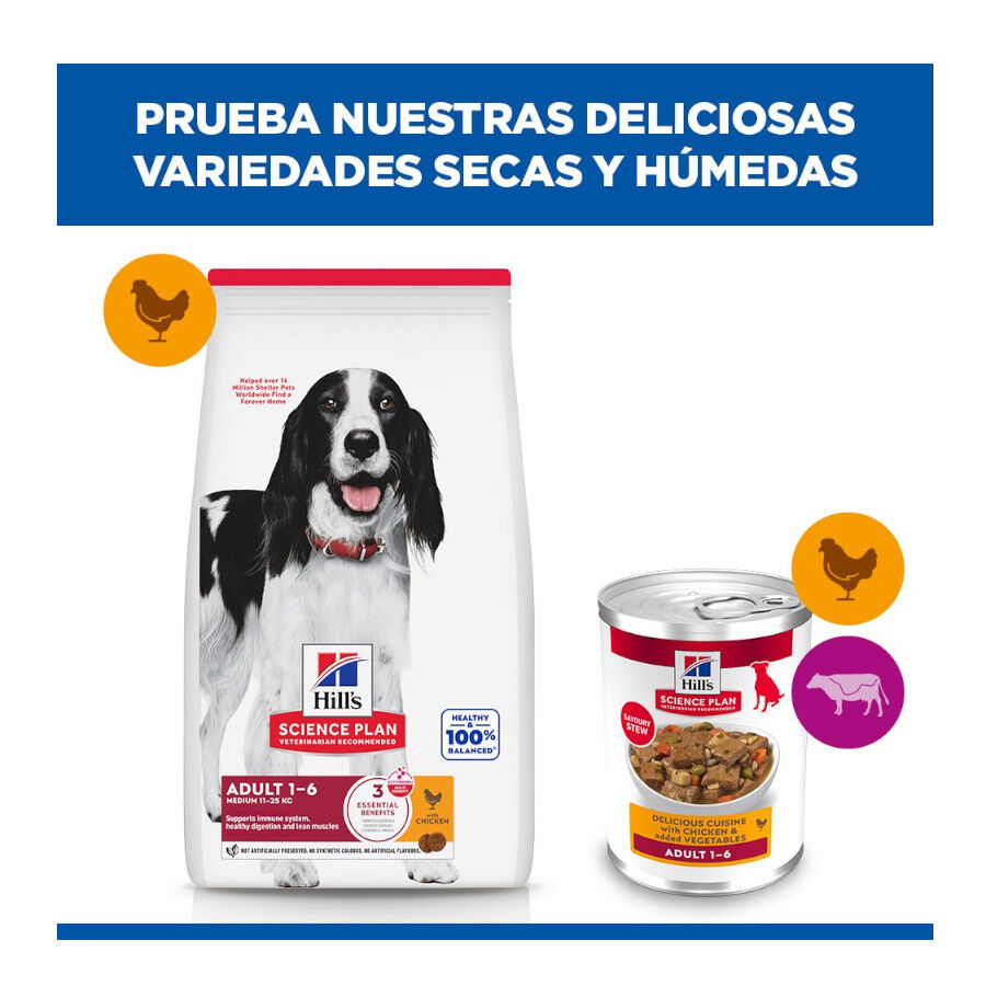 363 g  Hill's Science Plan Adult Estofado con pollo y verduras lata para perros, , large Imagen numero 8