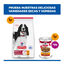 363 g  Hill's Science Plan Adult Estofado con pollo y verduras lata para perros, , large indicador imagen numero 8