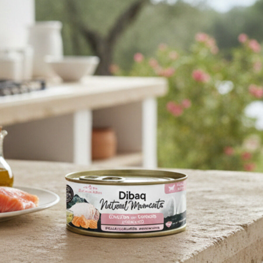 12 Latas x 70 g Dibaq Natural Moments Lata Pollo con Salm&oacute;n para gatitos, , large Imagen numero 3