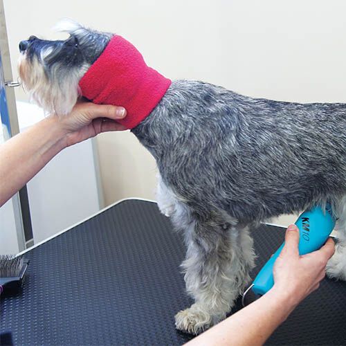 Ibañez Banda Protectora Grande thumbnail