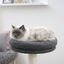 Kerbl Fridolin Rascador Gris para gatos, , large indicador imagen numero 4