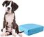 COSTWAY Almohadilla de Entrenamiento para Perros Almohadilla de Pañal Desechable Almohadilla de Higiene para Cachorros Gato (150 piezas 60x90cm), , large indicador imagen numero 1