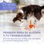 Robik Motion Interactive Ball Naranja | Pelota Interactiva Premium para Perros con Movimiento Autom&aacute;tico, 3 Modos de Juego y USB-C, , large indicador imagen numero 5