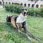 Pa&ntilde;uelo Formentera UDog  | Talla XS, , large indicador imagen numero 5