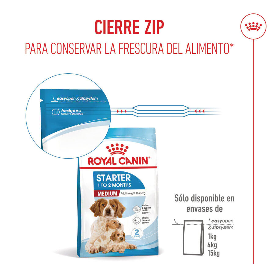 Royal Canin Medium Starter Mother&amp;Baby pienso para perros thumbnail
