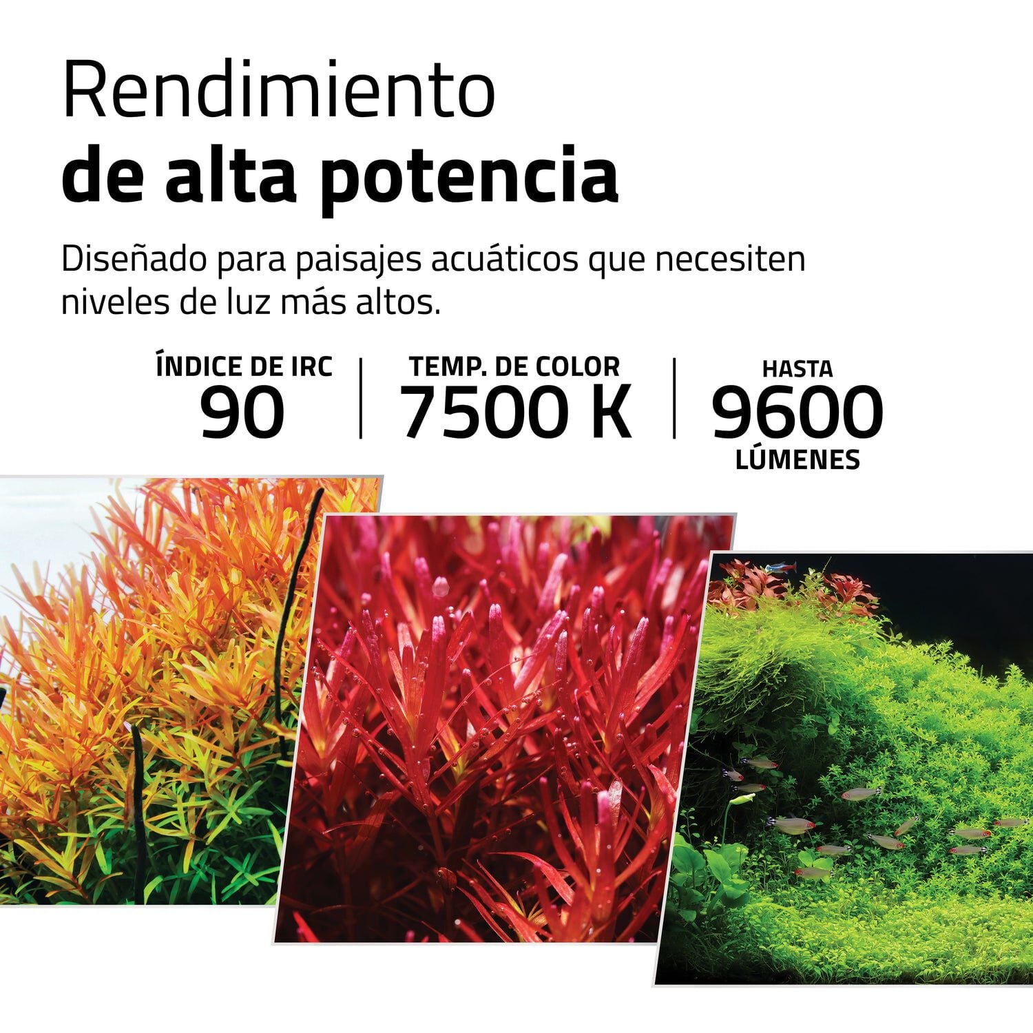 Pantalla Fluval Plant Pro LED 38W, , large Imagen numero 3