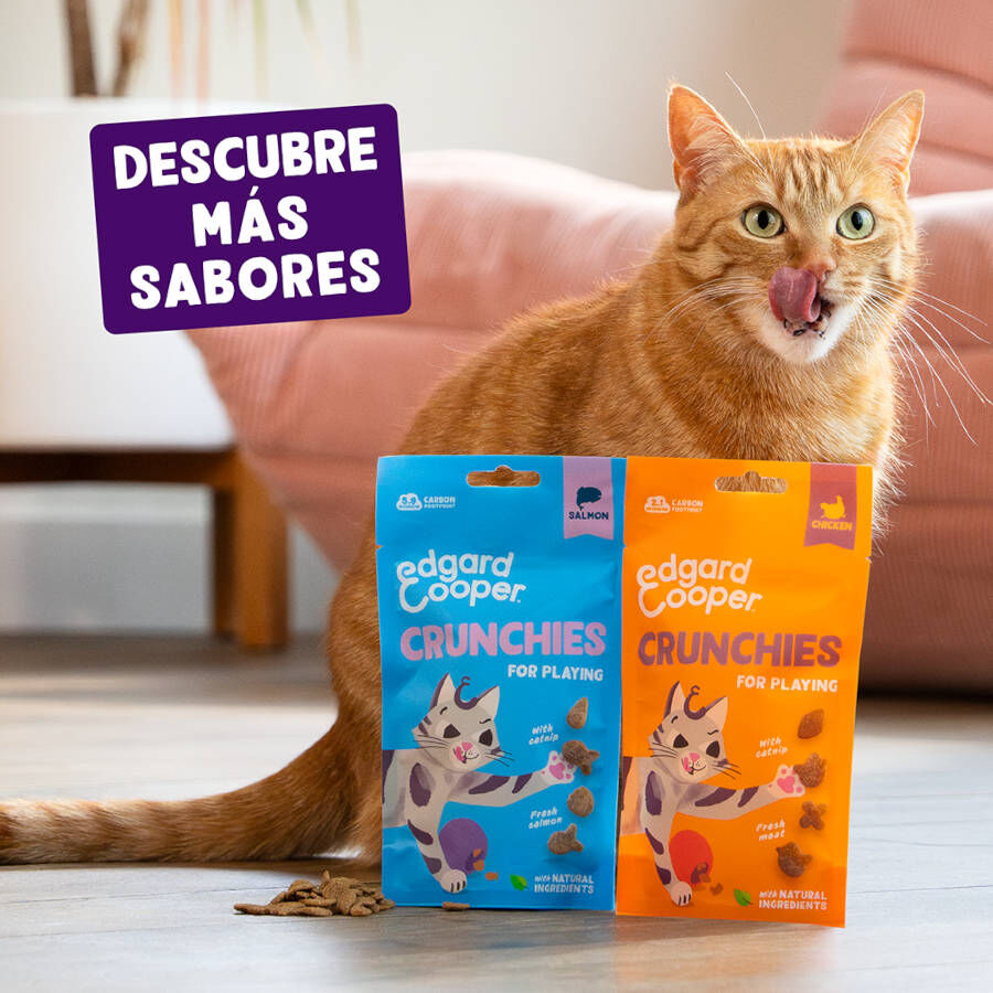 Edgard &amp; Cooper Galletas Crunchies Pollo para gatos thumbnail