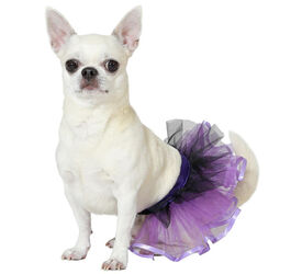 Atosa Disfraz Tutú morado para perros