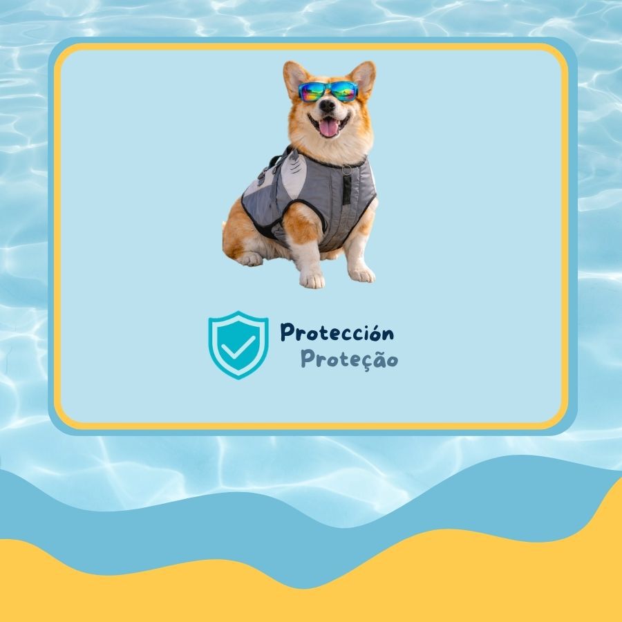 Summer Vibes Tibur&oacute;n Chaleco Salvavidas para perros, , large Imagen numero 4